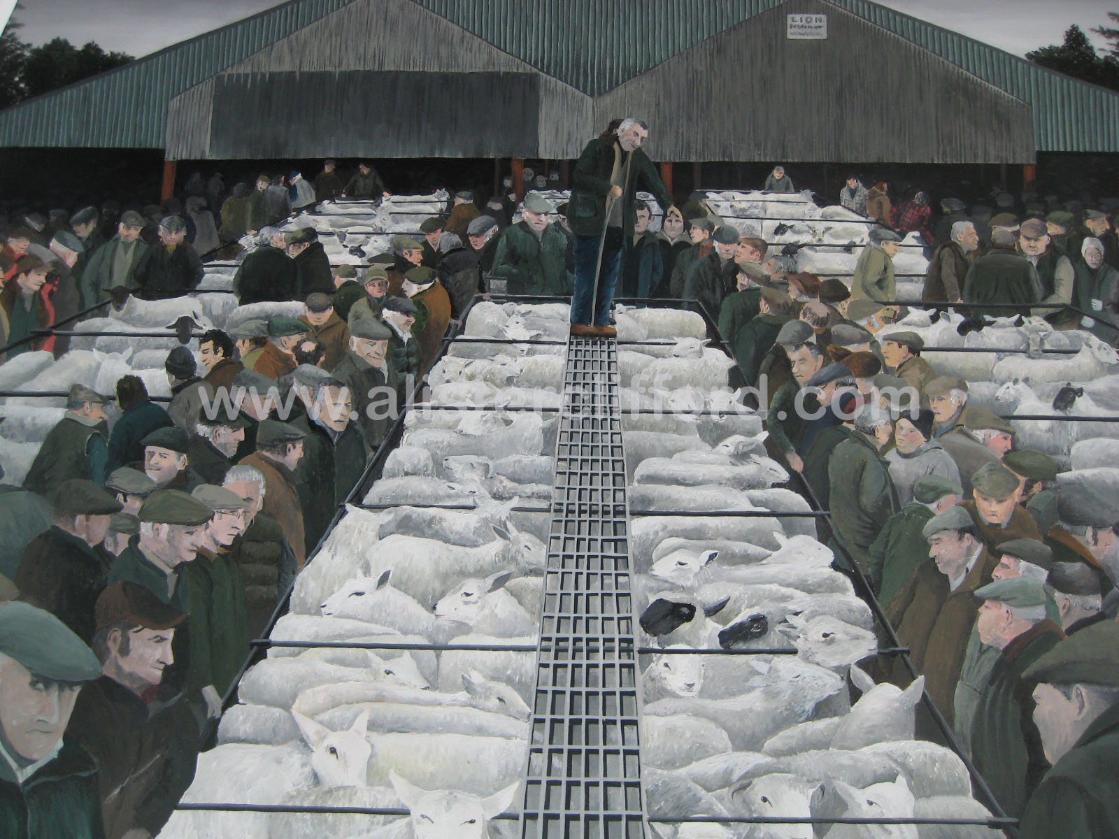 brecon market livestock
